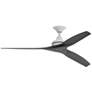 1_Fanimation Spitfire - 60 inch - MW with BL Blades