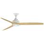 1_Fanimation Spitfire - 60 inch - MW with N Blades and LED LK