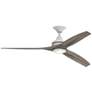 1_Fanimation Spitfire - 60 inch - MW with WE Blades and LED LK