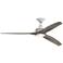 Fanimation Spitfire - 60 inch - MW with WE Blades and LED LK