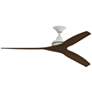 1_Fanimation Spitfire - 60 inch - MW with WK Blades