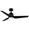Fanimation TriAire Custom - 48 inch - BLW with BLW Blades and LED LK