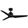 Fanimation TriAire Custom - 48 inch - BLW with BLW Blades