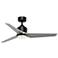 Fanimation TriAire Custom - 48 inch - BLW with SLW Blades and LED LK