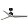 Fanimation TriAire Custom - 52 inch - BLW with SLW Blades