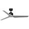 Fanimation TriAire Custom - 56 inch - BLW with SLW Blades