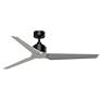 1_Fanimation TriAire Custom - 60 inch - BLW with SLW Blades