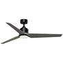 1_Fanimation TriAire Custom - 60 inch - BLW with WEW Blades and LED LK