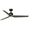 Fanimation TriAire Custom - 60 inch - BLW with WEW Blades and LED LK