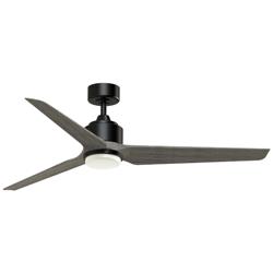 Fanimation TriAire Custom - 60 inch - BLW with WEW Blades and LED LK