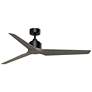 1_Fanimation TriAire Custom - 60 inch - BLW with WEW Blades