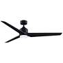 1_Fanimation TriAire Custom - 64 inch - BLW with BLW Blades and LED LK