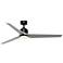 Fanimation TriAire Custom - 64 inch - BLW with SLW Blades and LED LK
