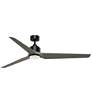 1_Fanimation TriAire Custom - 64 inch - BLW with WEW Blades and LED LK