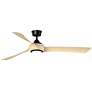 1_Fanimation Wrap Custom - 64 inch - BL with N Blades and LED LK