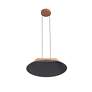 2_Faroe 21" LED Pendant in Coffee/Black more views