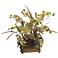 Faux Floral Potted Plants Phalaenopsis Orchid and Hydrangea