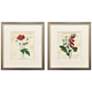 2_Favorite Flowers I 14"W x 16"H Framed Art - Set of 2