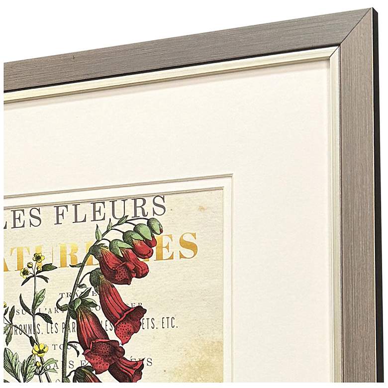 Image 4 Favorite Flowers I 14"W x 16"H Framed Art - Set of 2 more views