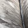 4_Feather Fire 35.4"W x 47.2"H Textured Framed Canvas Wall Art more views