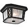 Feiss Wembley Park 12" Wide Black Outdoor Ceiling Light