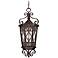 Felicity Collection 29 1/4" High Outdoor Hanging Light
