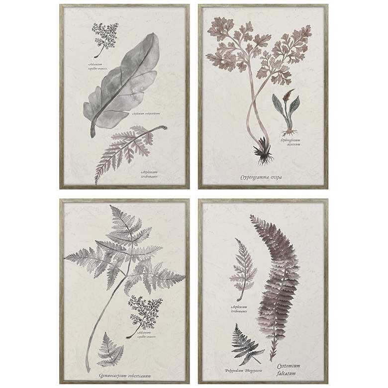 Image 1 Fern Study 17"W x 25"H Modern Framed Art Set of 4