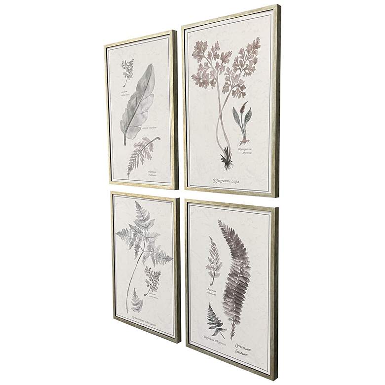 Image 2 Fern Study 17"W x 25"H Modern Framed Art Set of 4 more views
