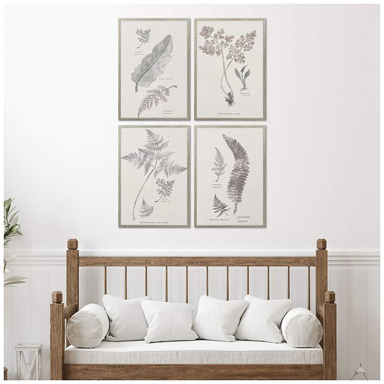 Image 4 Fern Study 17"W x 25"H Modern Framed Art Set of 4 more views