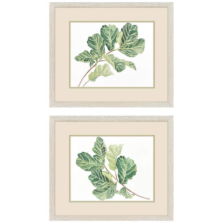 Image 1 Fiddle Fig Leaf 20"W x 17"H Framed Art Set of 2