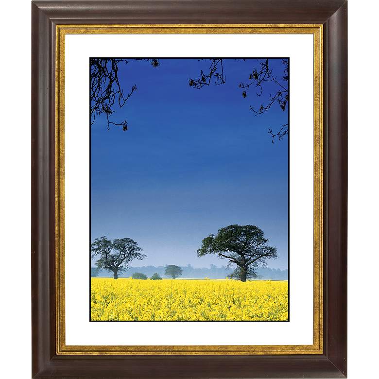 Image 1 Field Of Yellow Gold Bronze Frame Giclee 20 inch High Wall Art