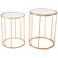 Finita Mirrored and Gold Round Nesting Tables 2-Piece Set