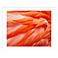 Flamingo Feathers 32 1/2" Wide Contemporary Wall Art