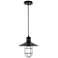Flaneur 1 Lt Black Pendant