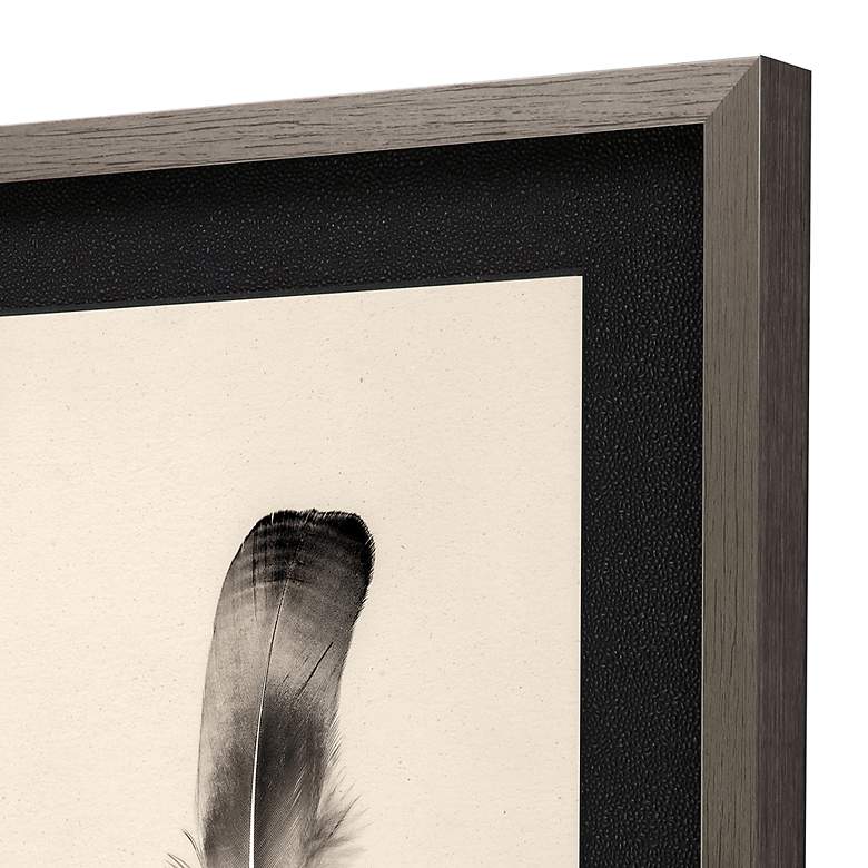 Image 4 Floating Feathers II 25"H 2-Piece Giclee Framed Wall Art Set more views