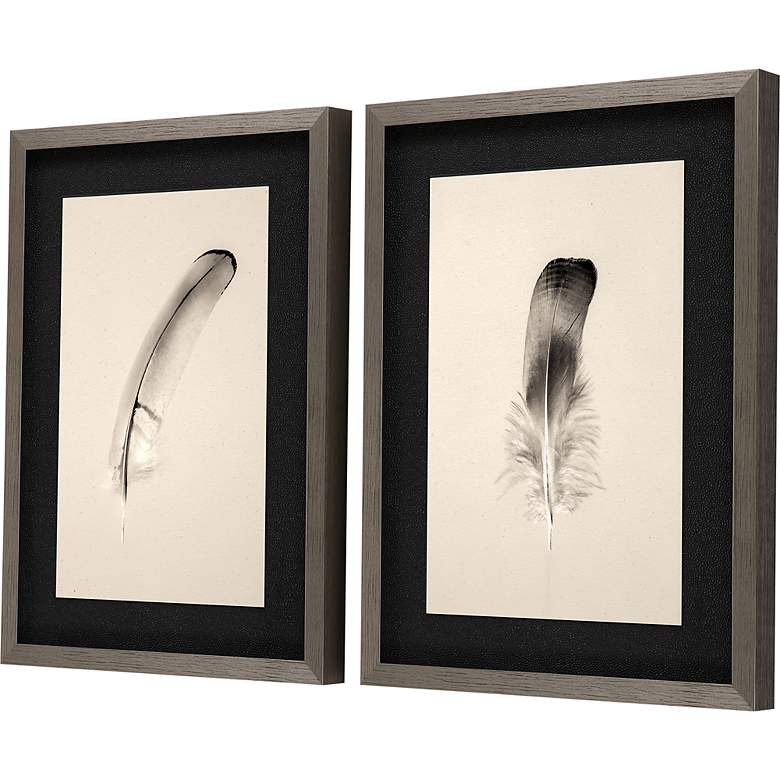 Image 5 Floating Feathers II 25 inchH 2-Piece Giclee Framed Wall Art Set more views