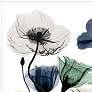 Thumbnail4 of Floral Landscape 48" Wide Tempered Glass Graphic Wall Art more views