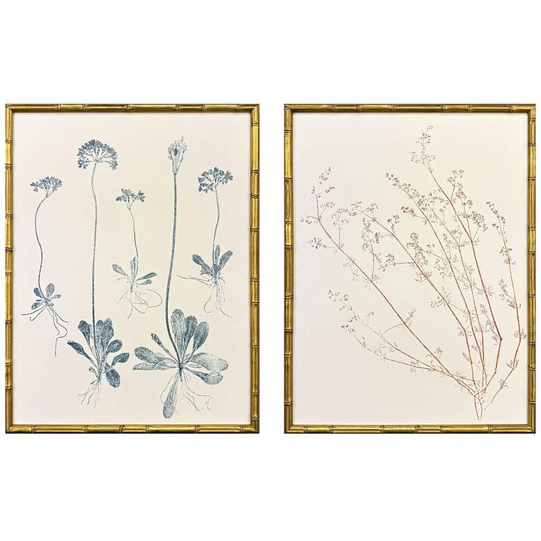 Image 1 Floral Trace III 19"W x 25"H Framed Art Set of 2