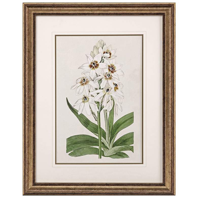 Image 1 Flore Albo I 27"W x 35"H Framed Art