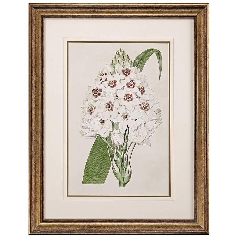 Image 1 Flore Albo II 27"W x 35"H Framed Art