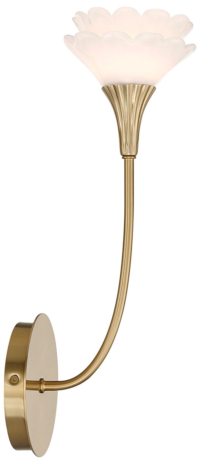 Image 6 Florena 1-Light Wall Sconce in Noble Brass by Breegan Jane more views