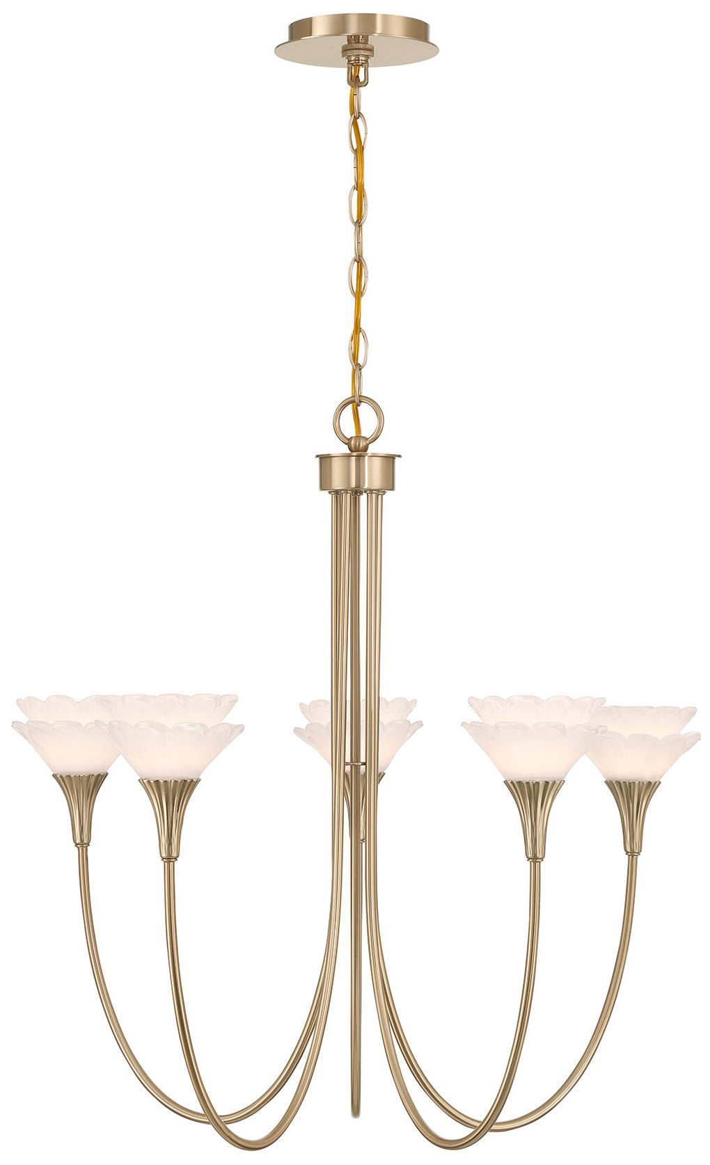 Thumbnail2 of Florena 5-Light Chandelier in Noble Brass by Breegan Jane