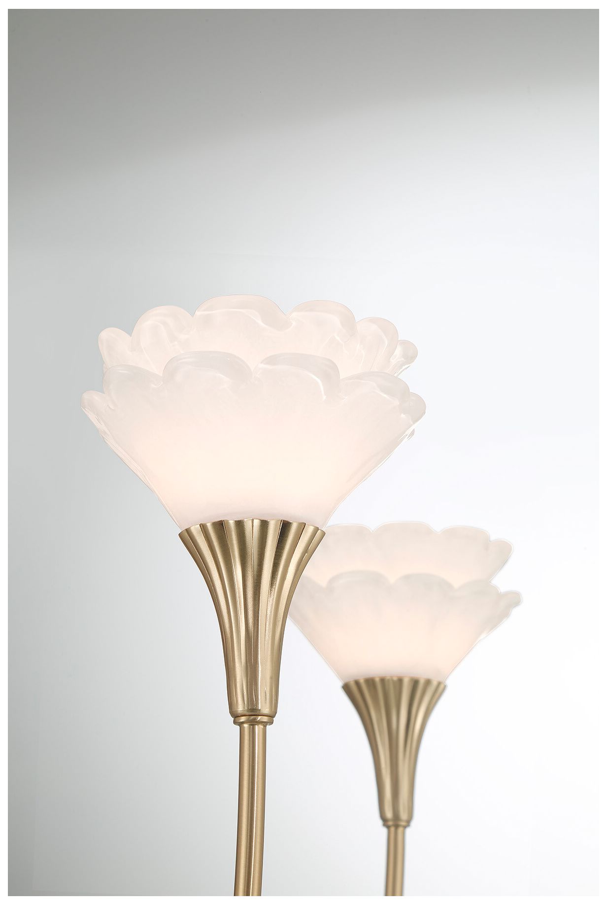 Thumbnail3 of Florena 5-Light Chandelier in Noble Brass by Breegan Jane more views