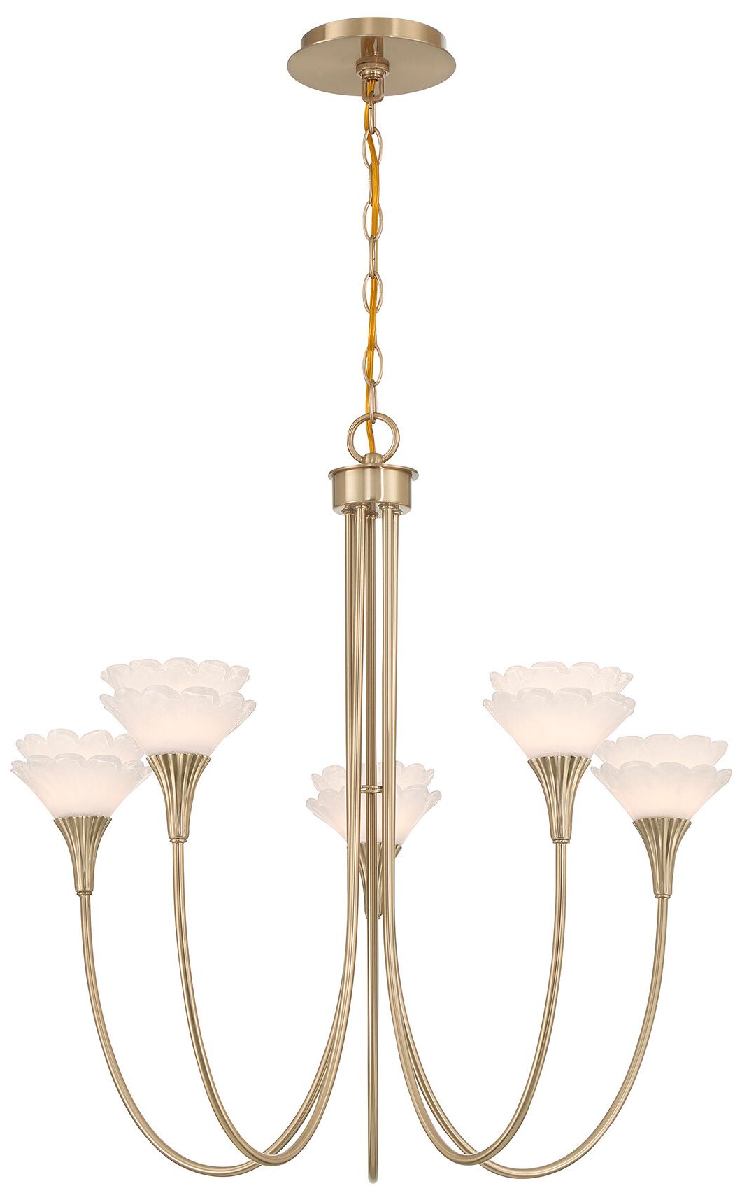 Florena 5-Light Chandelier in Noble Brass by Breegan Jane