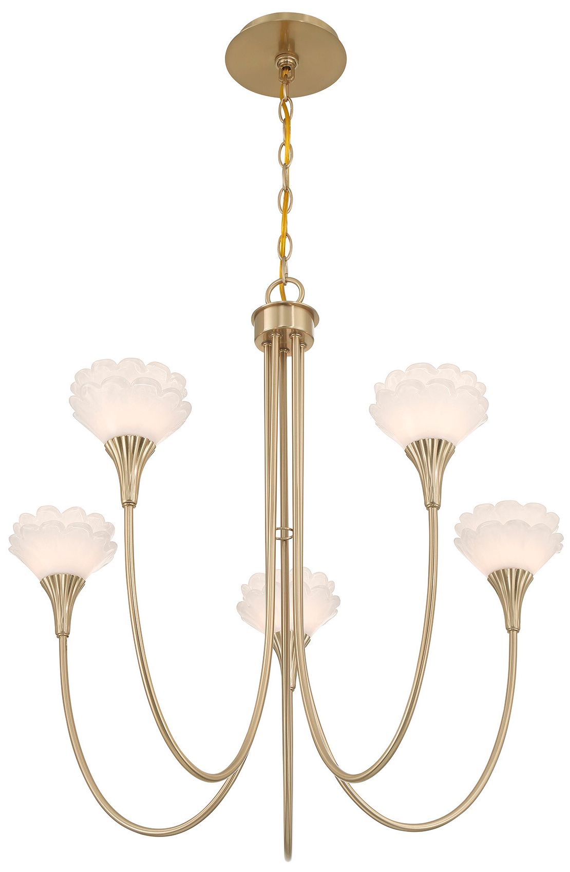 Florena 5-Light Chandelier in Noble Brass by Breegan Jane