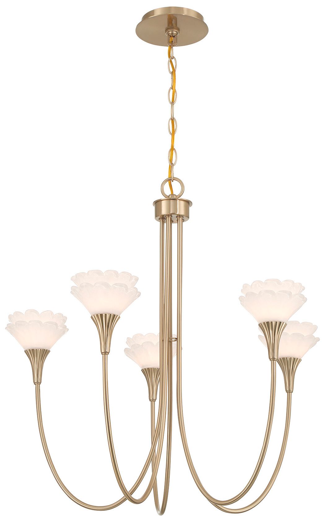 Florena 5-Light Chandelier in Noble Brass by Breegan Jane