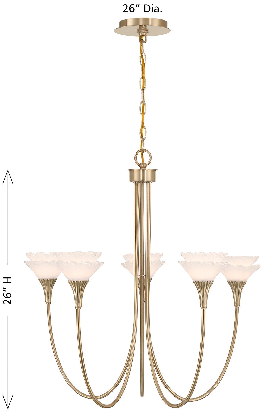 Florena 5-Light Chandelier in Noble Brass by Breegan Jane