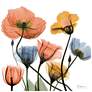 3_Flowers and Ferns 24" Square Tempered Glass Graphic Wall Art