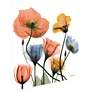 5_Flowers and Ferns 24" Square Tempered Glass Graphic Wall Art more views