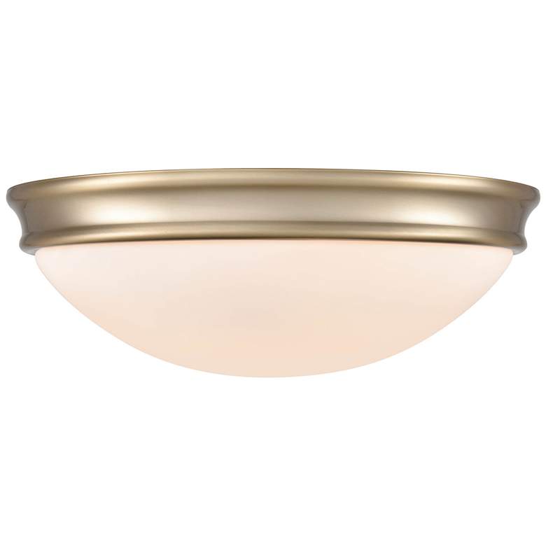Image 1 Flushmount Ceiling Light